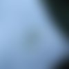  1 bélière et perle oeil de chat verre 24x6mm vert anis