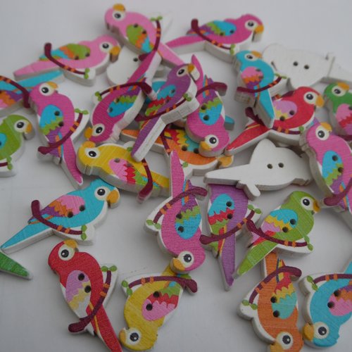 5 boutons oiseaux perroquet 35x20x4mm mixte bois