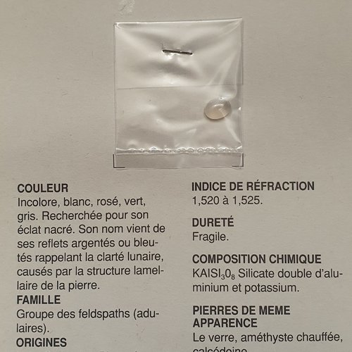 Pierre de gemme pierre de lune ovale ivoire 8x6.3mm
