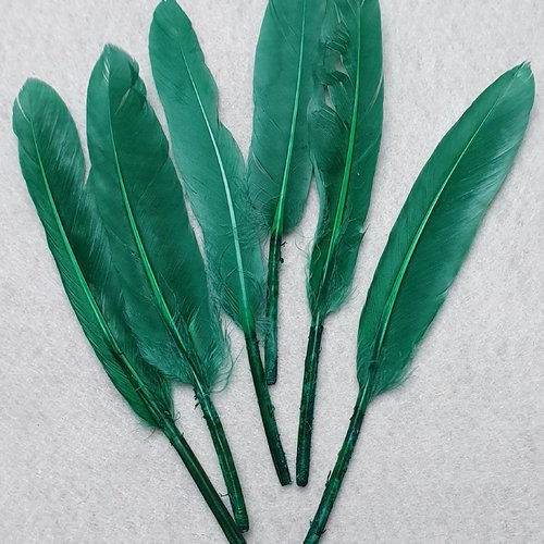 10 plumes vert herbe de 10 à 14cm environ