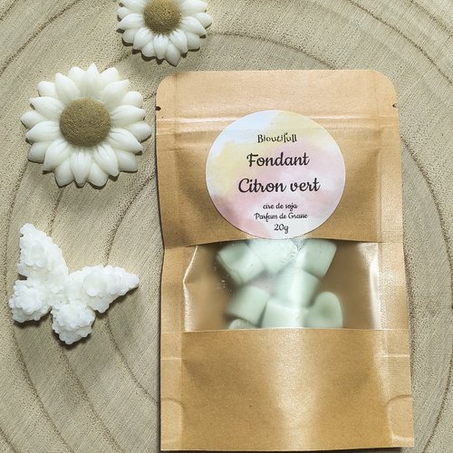 Sachet mini coeurs fondant parfumé citron vert