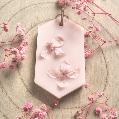 Suspension parfumée fraise des bois