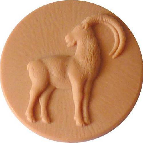Cabochon le capricorne signe du zodiaque animal à décorer gros cabochon pour création bijou pendentif