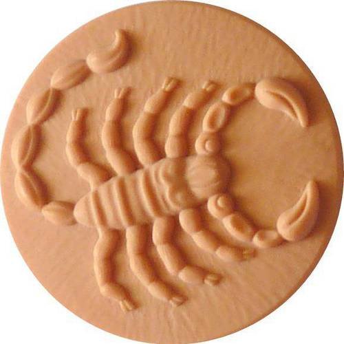 Cabochon à décorer le scorpion signe du zodiaque pour création de pendentif langouste