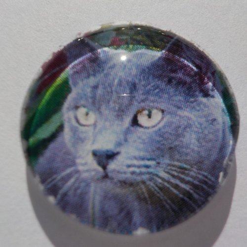 Cabochon de verre chat gris, rond, 20 mm