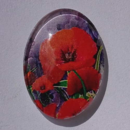 Cabochon de verre ovale 18x25 mm de coquelicot