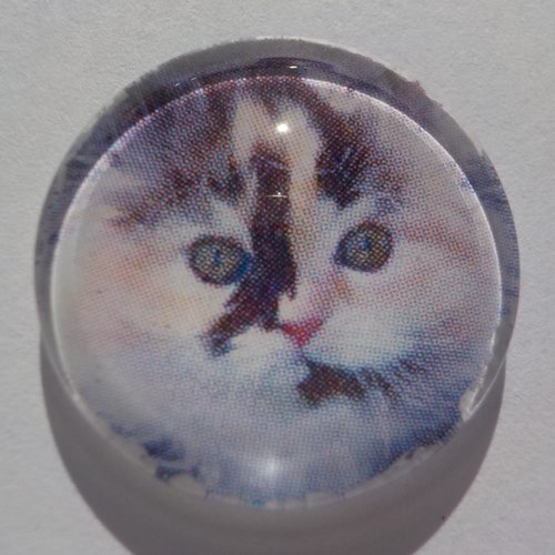 Cabochon, chat, tricolore, verre, rond, 20 mm