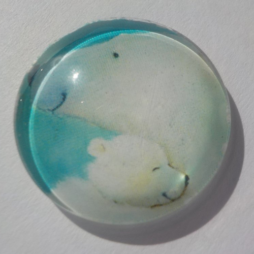 Cabochon, ours polaire, bleu et blanc, verre, rond, 20 mm