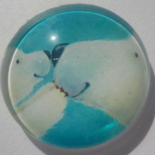 Cabochon, ours polaire, bleu et blanc, verre, rond, 20 mm