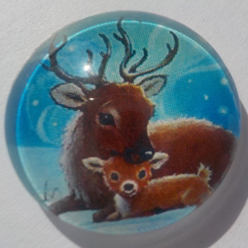 Cabochon, rennes, marron, bleu, verre, rond, 20 mm