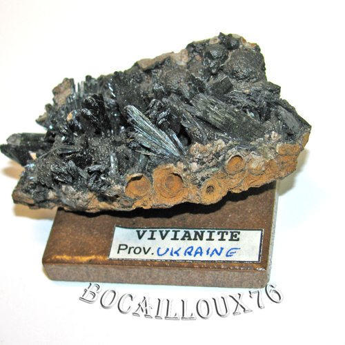-dispo---vivianite 478* ukraine - collection mineraux - v13