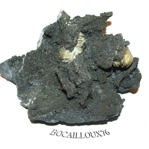 -dispo---barytine - pyrite h263 - 30.st laurent le minier - c. mineraux - e11