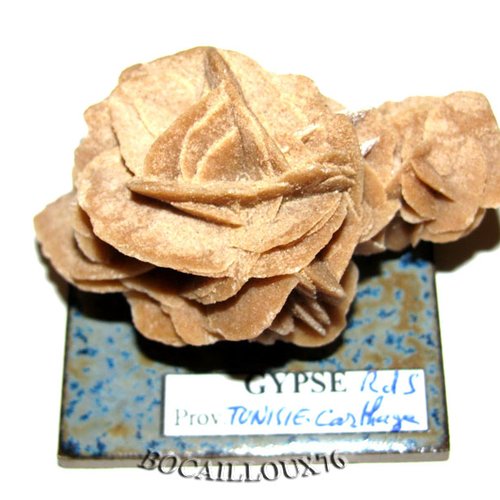 -dispo---gypse rose de sable s200 (selenite)- tunisie.carthage - c. mineraux - c23