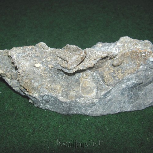 -dispo---calcite h228 - 59.glageon - collection mineraux