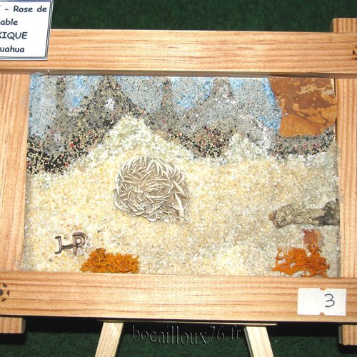 -dispo---tableau 3d gypse rose de sable 3 - mexique.chihuahua