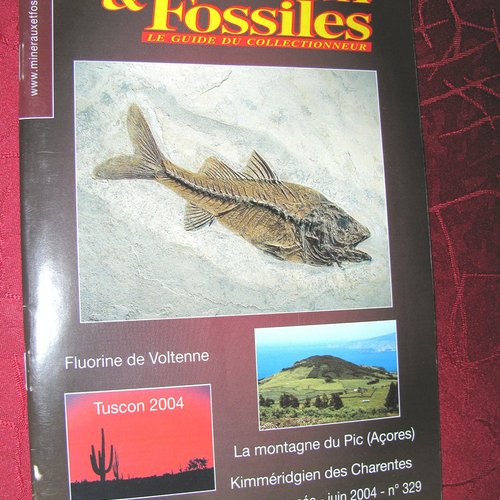 -dispo---mineraux et fossiles - n° 329 . juin 2004 . paris. (rak) c. livres