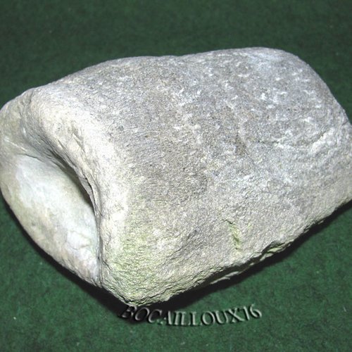 -dispo---spongiaire f54* - 14.auberville - collection fossile