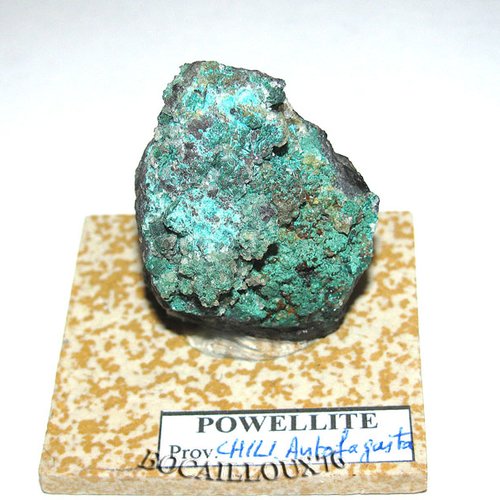 -dispo---powellite / brochantite s111* - chili.antofagasta c. mineraux - c20