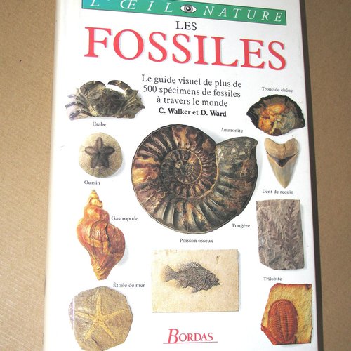 -dispo---les fossiles . bordas . (rak) c. livres .