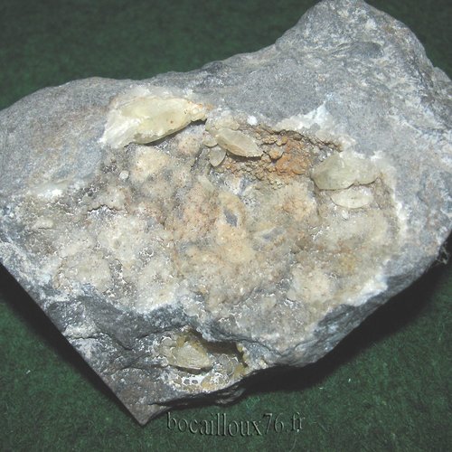 -dispo---calcite h554* - 59.glageon - c. mineraux