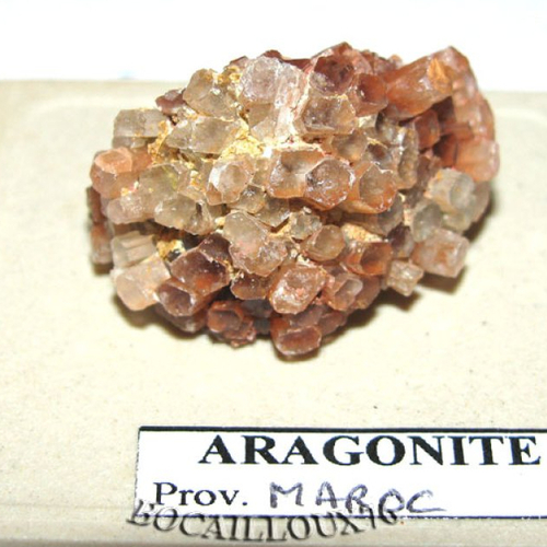 -dispo---aragonite s216* - maroc.sefrou - c. mineraux - bp0 .