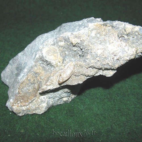 -dispo---calcite h228* - 59.glageon - c. mineraux .