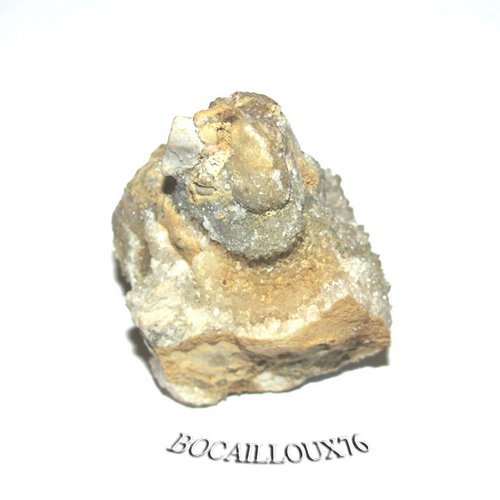 -dispo---aragonite b259* - 01.lagnieu - c. mineraux