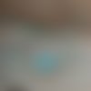 Bracelet poiscaille