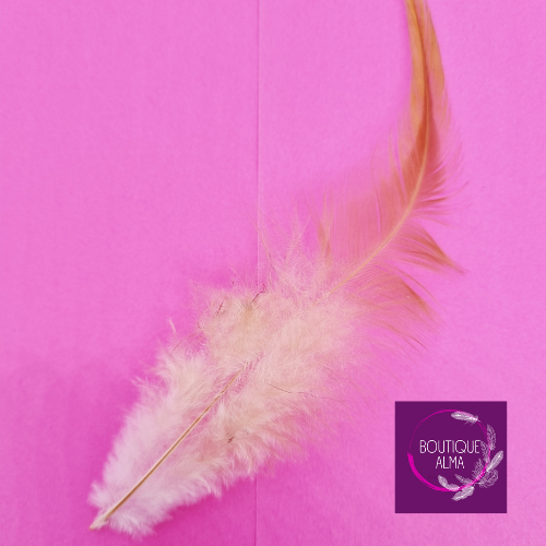 Plume de coq rousse - 16cm