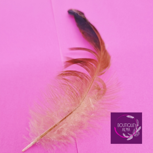 Plume naturelle de coq roux - 18 cm