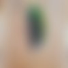 Plume de perroquet - 14 cm
