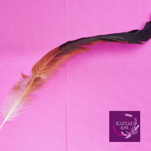 Plume de coq naturelle rousse - 30 cm