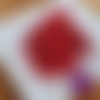 Perles tube rouge scintillantes 22 mm x 1 mm - lot de 12gr