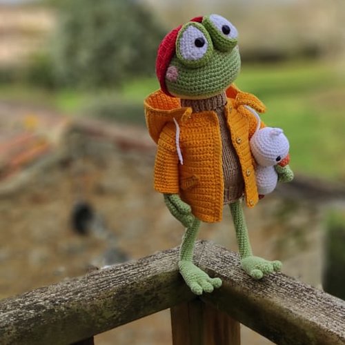 Grenouille tricotée dans les vêtements, amigurumi, jouets original, décoration faite à la main, crochet, cadeau pour il.