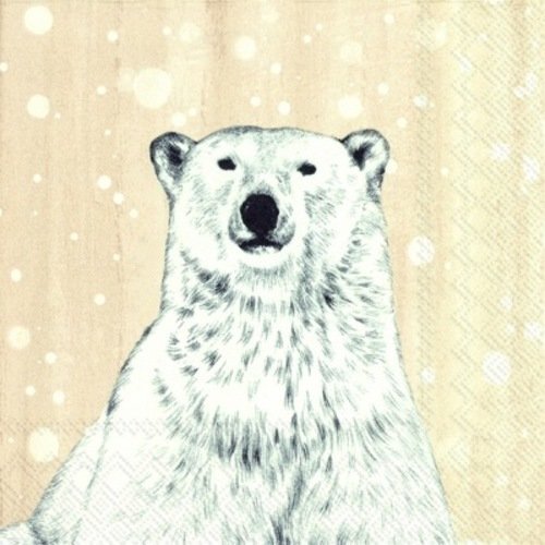 Serviette papier animal, ours blanc, 33x33 cm, polaire, hiver, original, enfant, beige, serviettage, collage, collection, x1