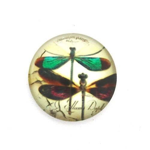 1 cabochon en verre illustré - libellules - rond - 20 mm