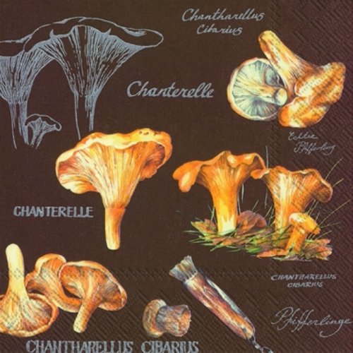 Serviette en papier - champignons chanterelles - 33 x 33 cm