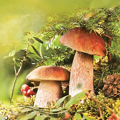 Serviette en papier - champignons en forêt - 33 x 33 cm