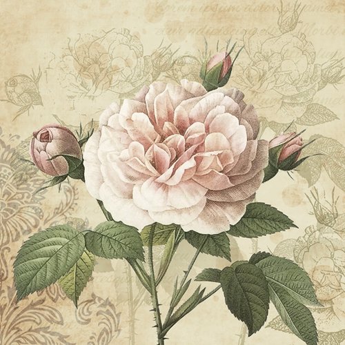 1 serviette en papier - roses anciennes shabby romantique - 33 x 33 cm