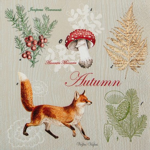 1 serviette en papier - automne, renard, champignon, feuilles - 33 x 33 cm
