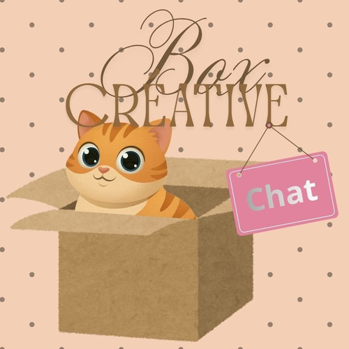 Box créative surprise - chat