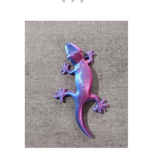 Magnets gecko 3d