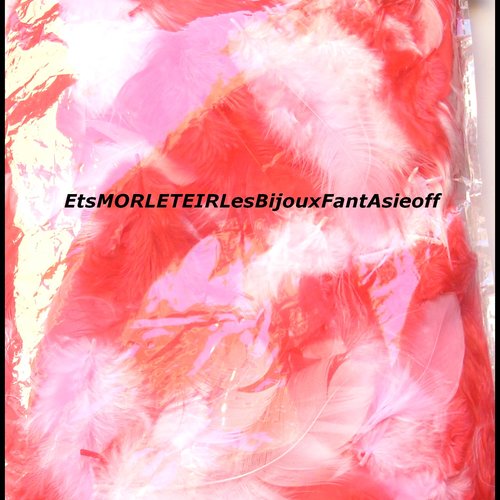 Pochette de plumes rose et rouge rayher mélange 3/10 cm