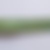 Biais motif fleur - 100% coton - 2cm de large - fond vert clair motif fleurs vertes - vendu au mètre