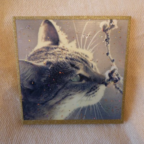 Tableau sur bois chat printanier, fete des mères, décoration murale chat