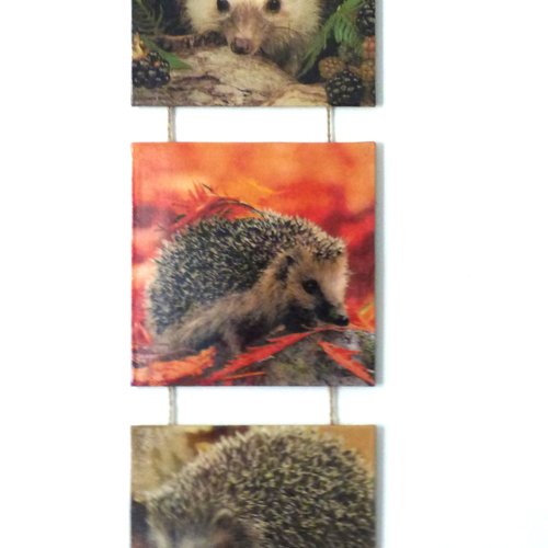 Tableau triptyque herissons a suspendre serviettage
