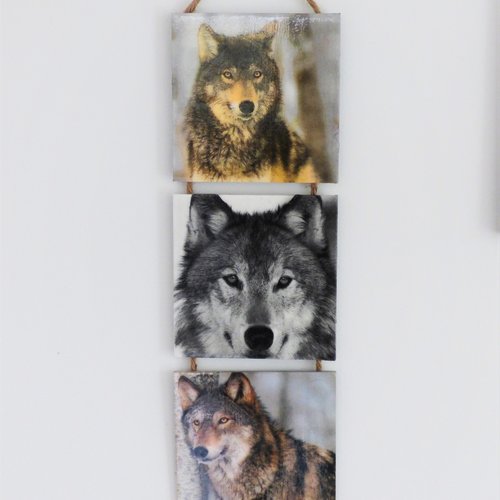 Tableau triptyque portraits de loups serviettage sur bois medium