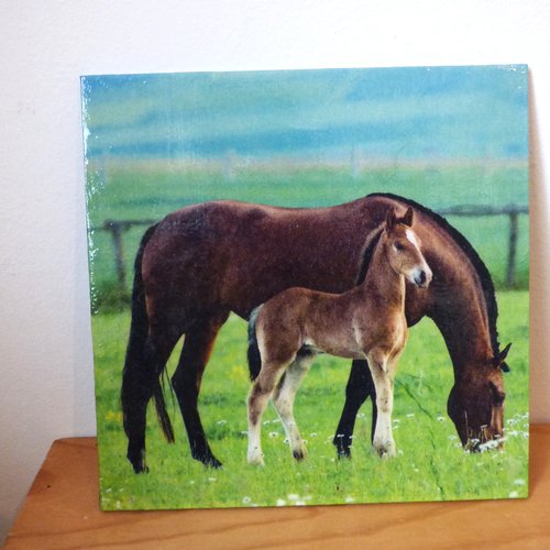 Tableau collage chevaux dans le pré