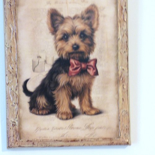 Tableau animaux chien yorkshire collage et techniques mixtes