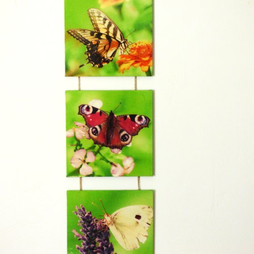 Decoration murale triptyque papillons